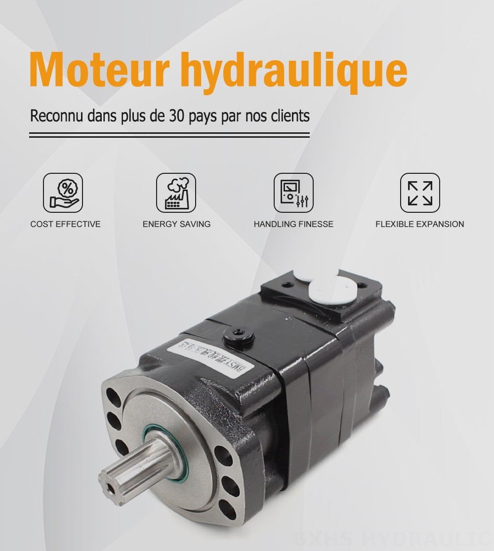 Moteur hydraulique cycloïdal BMSY 100 cm³/tr 50 L/min Moteur hydraulique